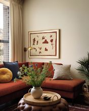 其他 4 Memoir Buckman