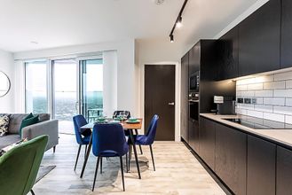 其他 4 Icon Tower Flat IX