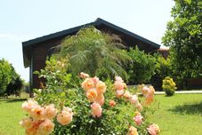 อื่นๆ Cirali Villas Hotel Pansiyon