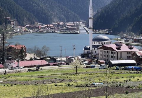 其他 Albatros Uzungöl