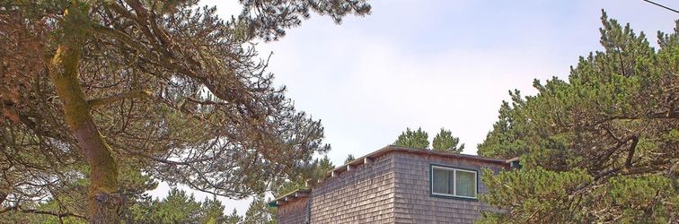 Others Dragonfly Cabin Westport Wonderful