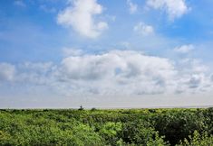 Others 5 On Beyond Condo in Ocean Shores