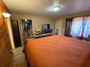 Others 4 Tree La City