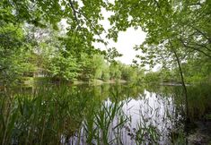 其他 2 Lush Designer Retreat on Pond Near Rhinebeck