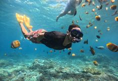 Others 7 Aman Dia Cruise