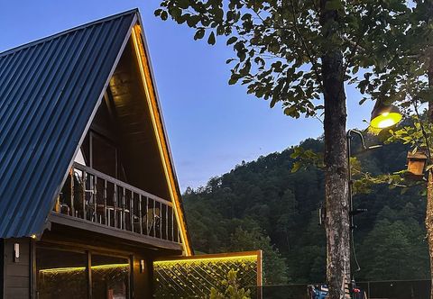 その他 Dora Suit Bungalov