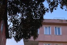 其他 Ramo's BY RAMO