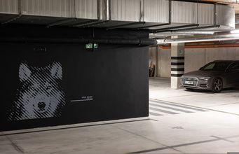 其他 4 Amarillo Nadmorski Azyl Shellter Rogowo Gara