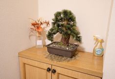 Others 3 CROSSA VILLAGE SAKURA