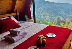 기타 6 CELAZENİ BUNGALOV