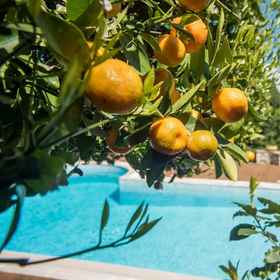 Primary image 1 Primavera Villa Sea View, Hotel Monumen Kereta Api Diakofto