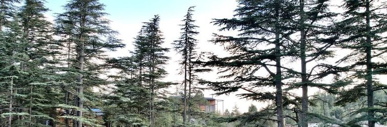 其他 Cedrus Life Bungalow Tesisleri