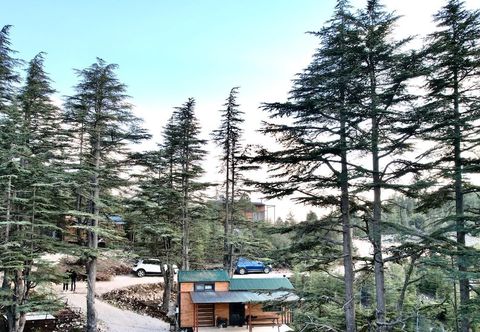 其他 Cedrus Life Bungalow Tesisleri