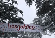 其他 5 Cedrus Life Bungalow Tesisleri