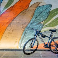 その他 4 Amazing 1BR in Santa Ana