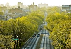 Others 7 Crownheightsfinest