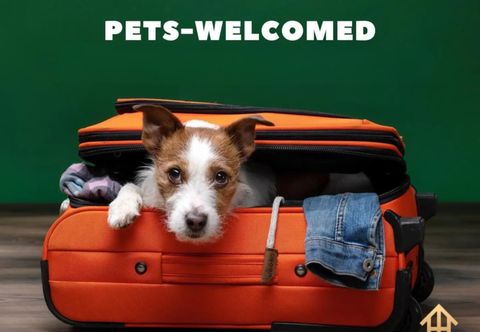 その他 4 Queen Beds High Speed Wifi Private Parking