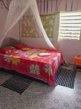 Others 4 Tapuhere Lodge