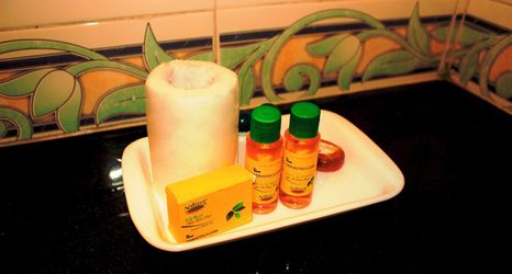 其他 2 Fabhotel Kalawati Palace