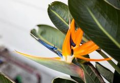 Others 2 Cozy 2 BR Home With hot tub and Patio