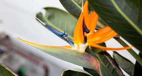 Others 2 Cozy 2 BR Home With hot tub and Patio