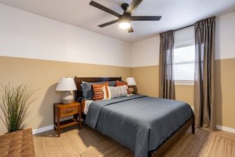 其他 4 No bad Days in San Diego