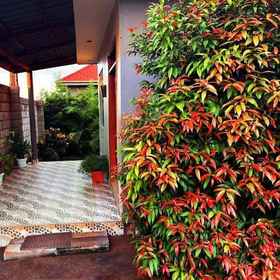 Reception 1 Bliss-plus Motel, Jinja Hotels