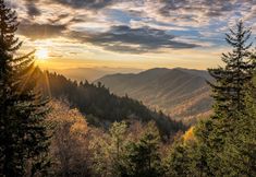 その他 6 Smokey Bear Haven by Jackson Mountain Rentals