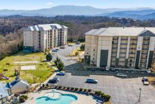 Khác Sleepy Bear Getaway