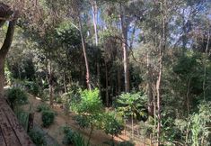 其他 2 Pousada Casinha Velha