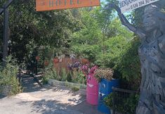 기타 4 Benjamin Otel Gumusluk