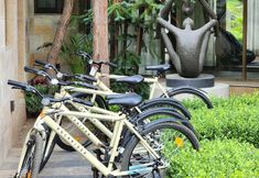 Others 2 Brij Atmanya Bhowali, Nainital A Luxury Mountain Escape