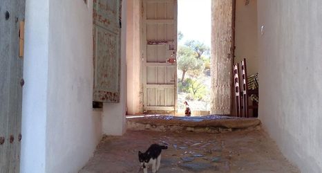 Lainnya 2 Andalusian Farmhouse for Workshops, Retreats or Events