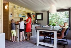 Others 4 Beautiful Lodge in Appelscha With Terrace