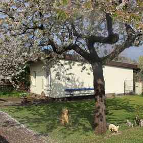 Primary image1Family Idyll Comfortable Holiday Residence,米里茨国家公园飯店