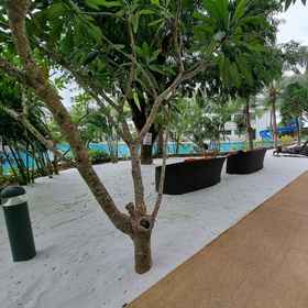 Primary image1Pool Access View Laguna Beach Resort 3 Condo,达基安提亚飯店