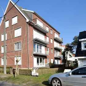 Primary image 1 Apartment in De Haan Near the Beach, Hotel Statue of Einstein
