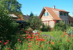 其他 2 Krusch Modern Retreat