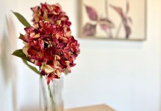 Others 4 Apartment in Motril Near Playa Beach