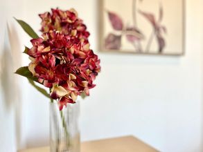 Others 4 Apartment in Motril Near Playa Beach