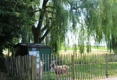 その他 6 Holiday Home in Zevenhuizen With Sauna