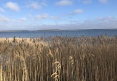 其他 7 Apartment Captain's Terrace