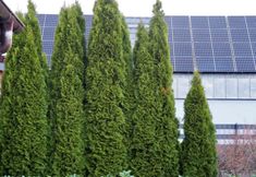 其他 6 Apartment Captain's Terrace