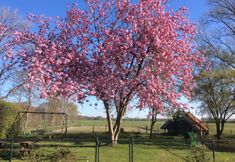 Others 5 Holiday Home in Donkerbroek Near Forest Trails