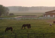 其他 7 Land Fleesensee