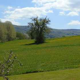 Primary image 1 Csilla Comfortable Holiday Residence, Erbenhausen Hotels