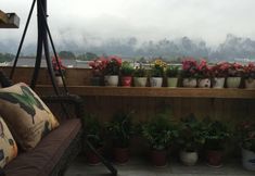 其他 2 Miss Inn (Zhangjiajie Forest Park Biaozhimen)