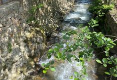 Others 3 ROYAL FALSS TATİL KÖYÜ