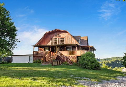 Others Hillbilly Highrise