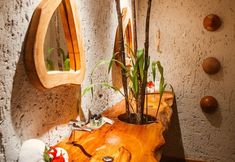 其他 4 Pousada Zaya